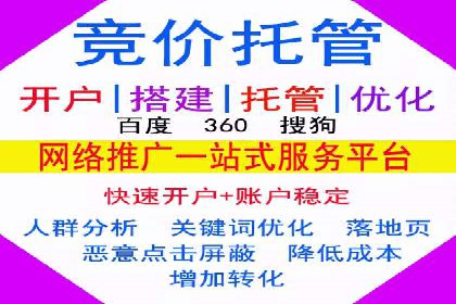 竞价推广实战：成功案例背后的技巧揭秘